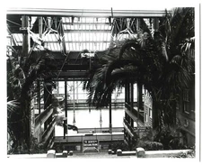 c.1900 SAN FRANCISCO SUTRO BATHS POOL w/FERNS & DRESSING ROOMS~8x10" PHOTO PRINT