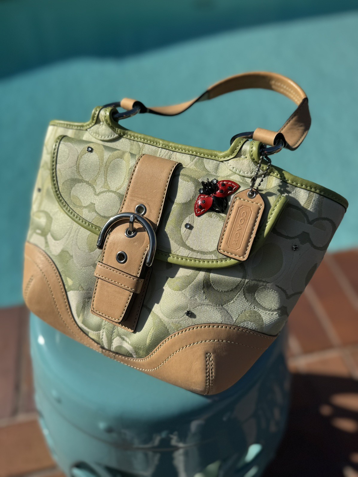 Limited edition Coach Lady Bug Purse with Swarovski Crystals Rare | eBay
