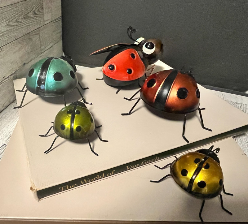 5 Metal Ladybugs Garden Wall Art Decor Cute For Wall Or Table