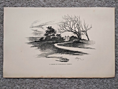 A Corner of Staplefield Common, Sussex - antiker Druck - 1892 (Verkäufer Ref D4)