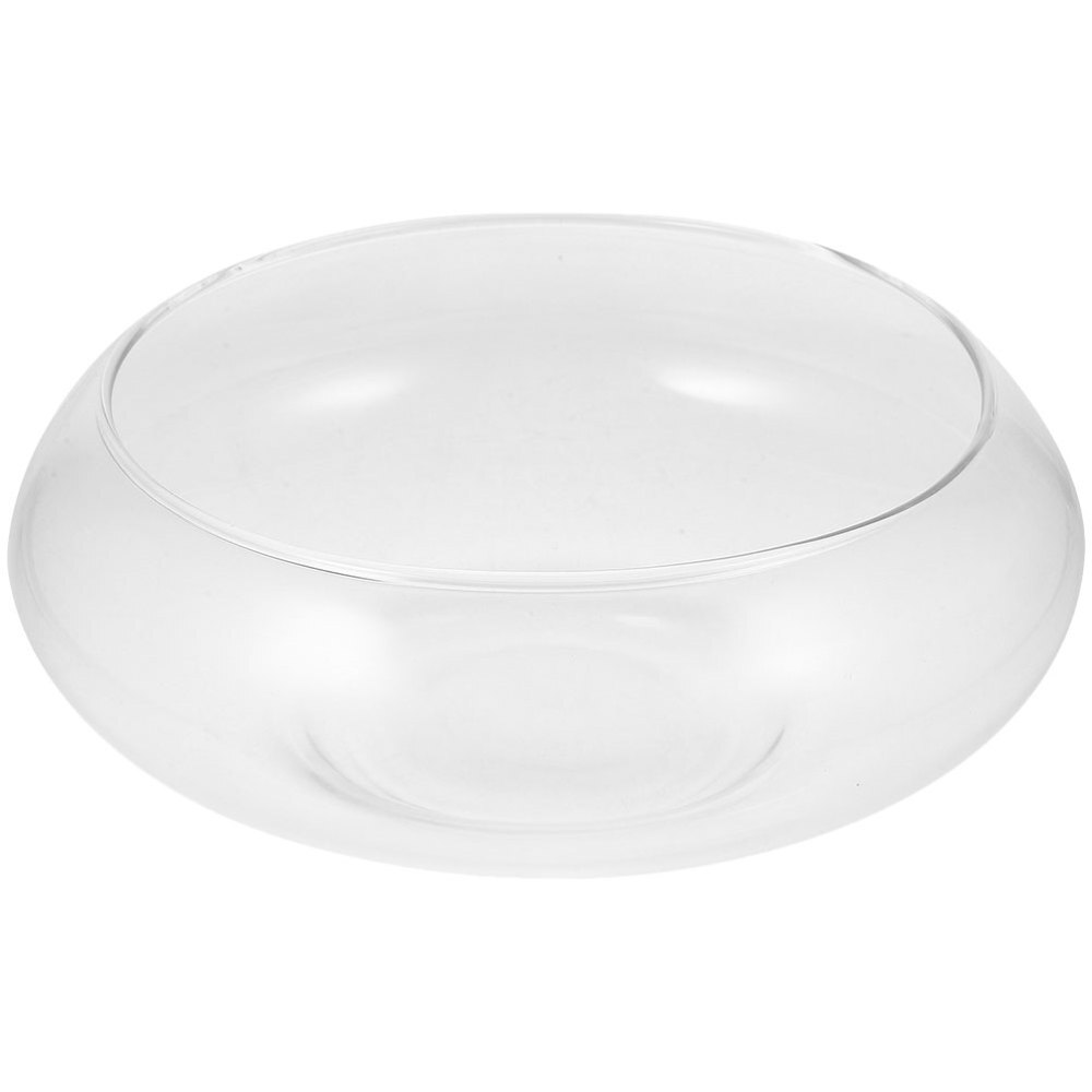 Clear Hydroponic Container Fish Planter for Orchids & Aquatic Plants