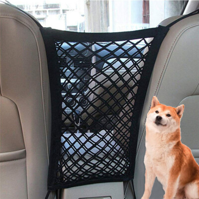 puppy car safety