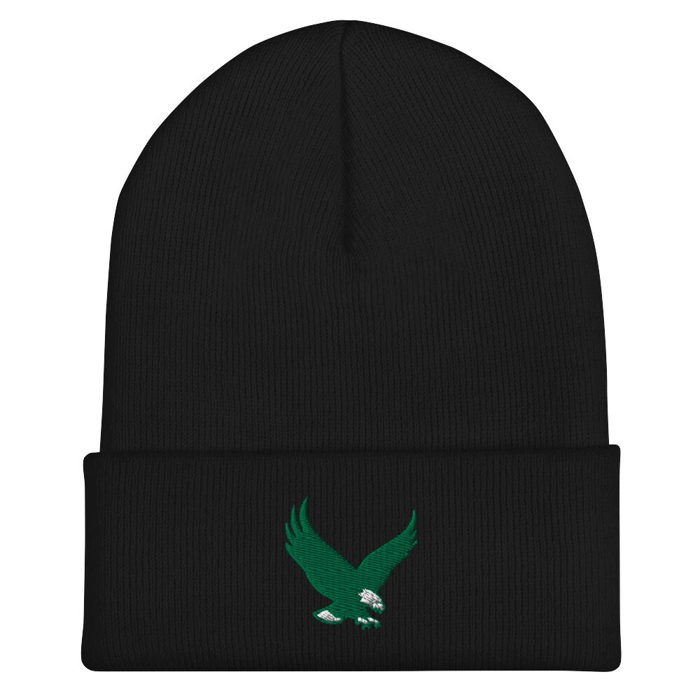 Philadelphia Eagles Retro Minimalist Design Embroidered Football Cuffed Beanie