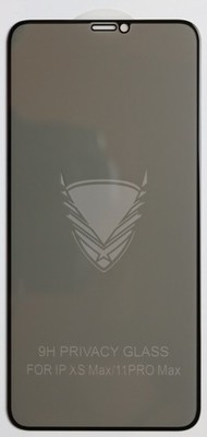 Apple iPhone XS Max Privacy Panzerschutz Glasfolie FullCover 10D 9H Schwarz Disp