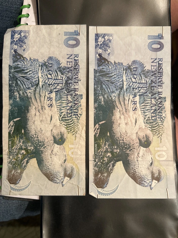 BILLETE DE 10 DÓLARES DE NUEVA ZELANDA CON REVERSO VERDE Y AZUL FECHADO 1993-1999 Foto 2 de 2