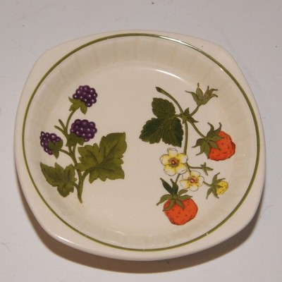 Royal Worcester Palissy ''Summer Fayre'' eckige Schale Erdbeeren Brombeeren