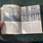 Picture 12 of 24