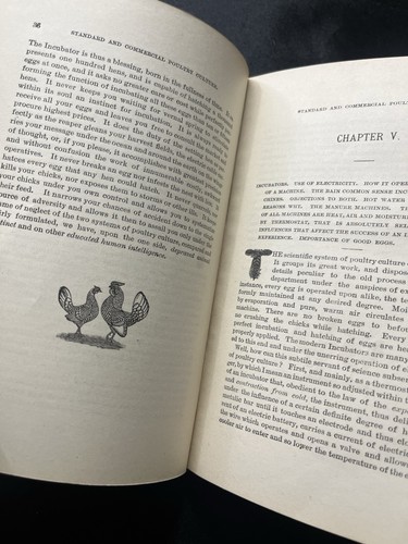 1885 STANDARD AND COMMERCIAL POULTRY CULTURE BY ARTIFICIAL PROCESS BOOK SPALDING - Picture 8 of 9