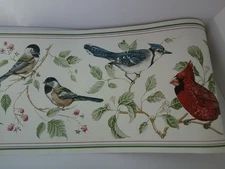 2 Rolls Borden Wallpaper Border Song Birds WB5095 Prepasted Strippable Blue Jay