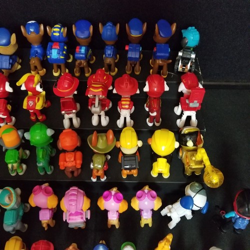Paw Patrol 48 Lot Skye Zuma Chase Marshall Rubble Rocky Everest Tracker Wild Rex - Picture 22 of 24