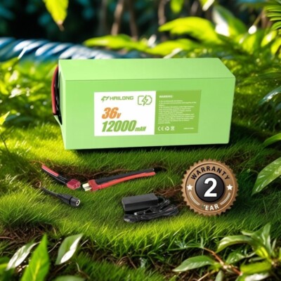 Green 36V 12AH Battery lithium ion ebike battery with BMS