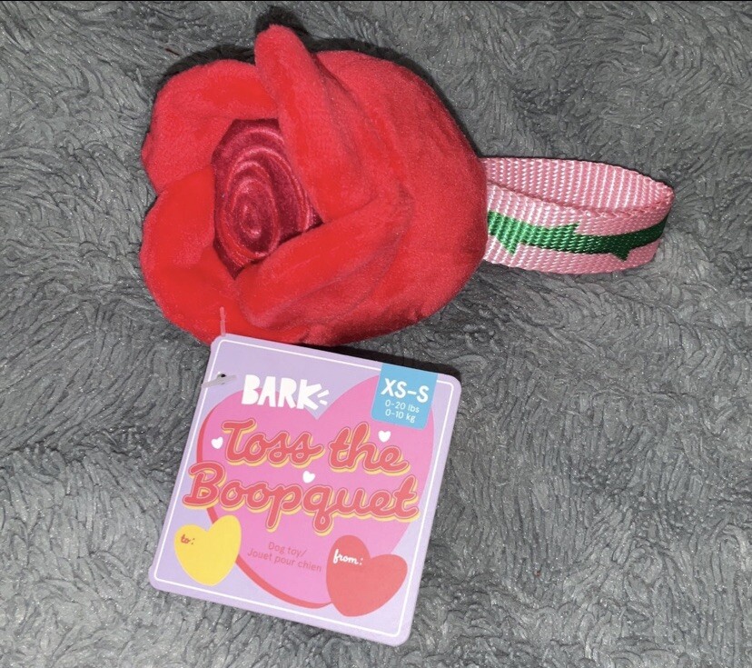 New Bark Box Toss the Boopquet Rose Dog Toy w/ Reinforced Nylon Loop Handle | eBay New Bark Box Toss the Boopquet Rose Dog Toy w/ Reinforced Nylon Loop Handle | eBay