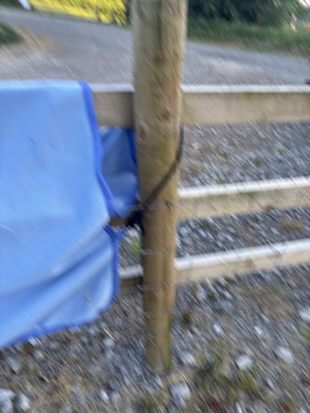 Picture 3 of 5