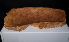 Raw Maple Burl Wood Natural Live Edge Slab Display Dish Signed   Jeff Nichols