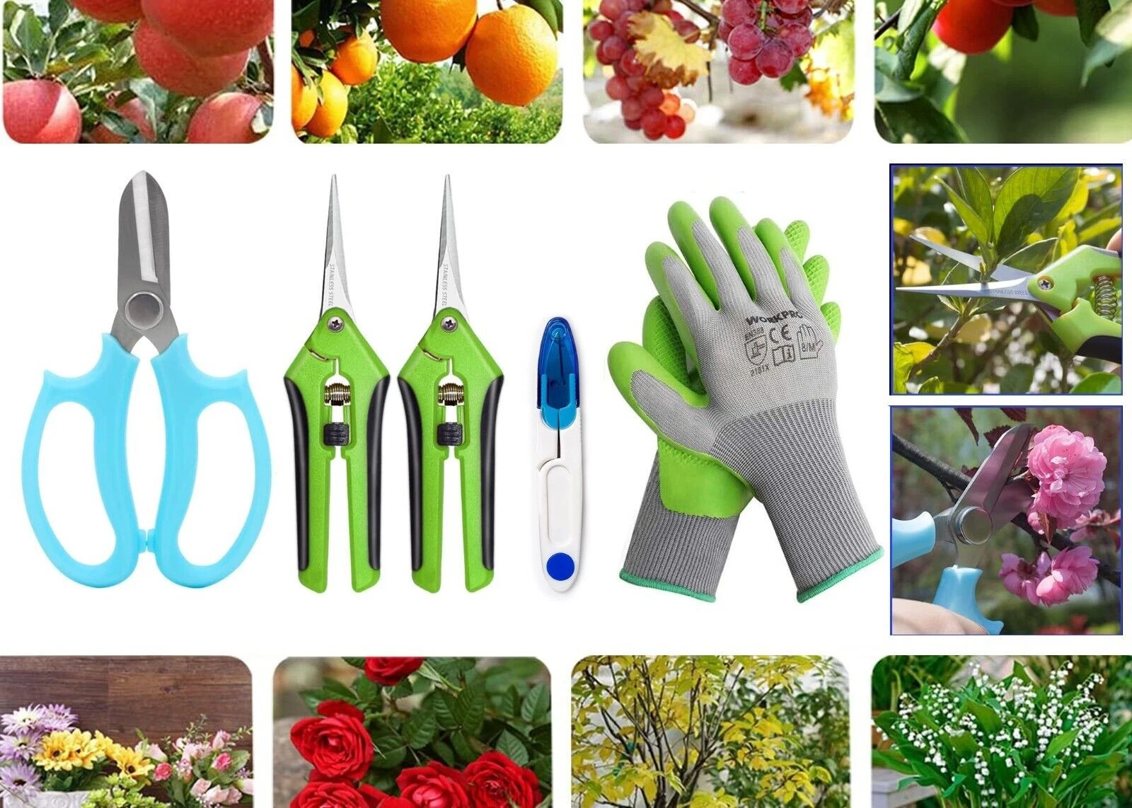5 pcs set Garden Pruning Shears Garden Scissors Herb Scissors Florist Scissors F
Opens in a new wind