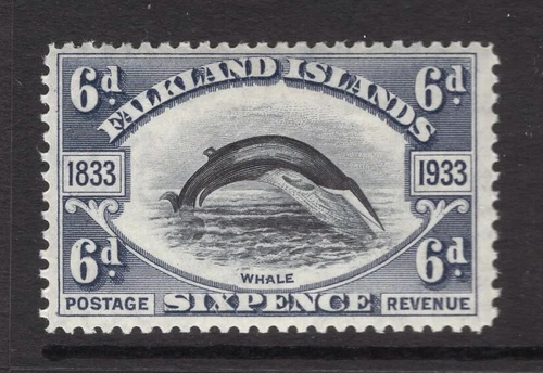 M8570 Falkland Islands 1933 SG133 - 6d black & slate