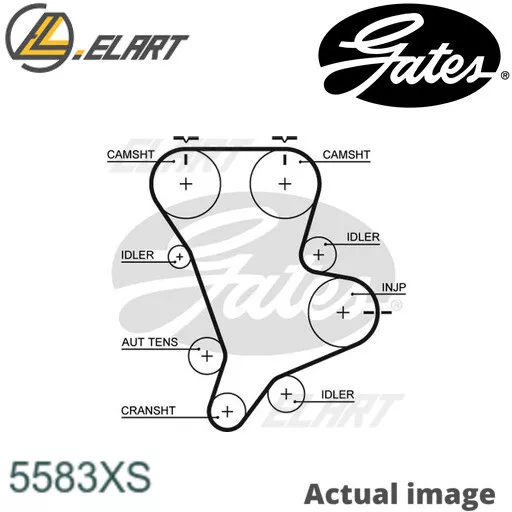 Kia clearance timing belt