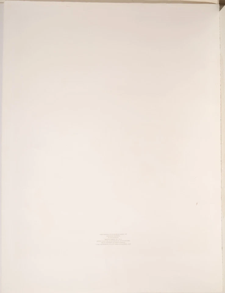 Marc Chagall / Grano Lithografie gedruckt bei Matthieu/1986/Akt mit Blumenkorb - Bild 4 von 4