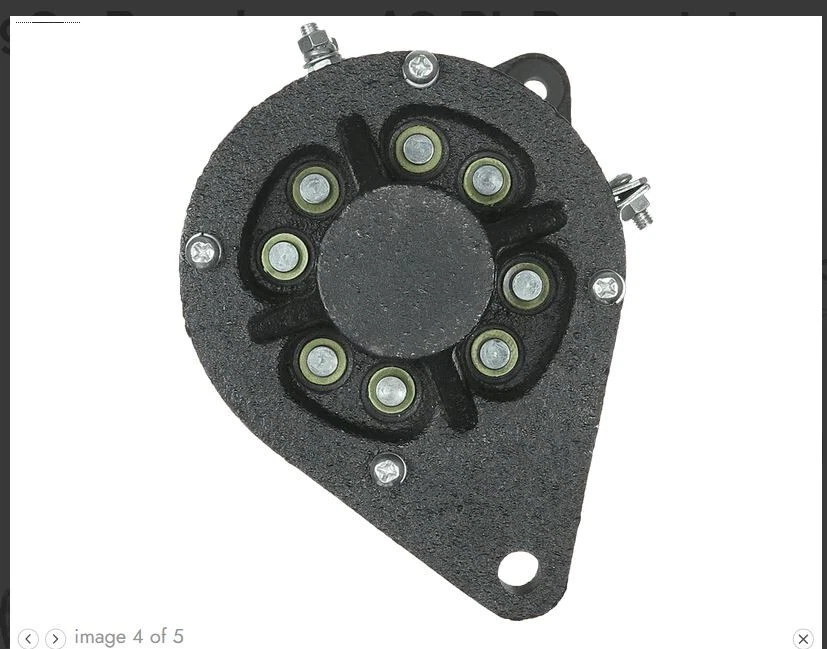 Dynastarter für BCS Ruggerini Hirt Innocenti ACME Ferrari Landwirtschaft - Bild 4 von 4