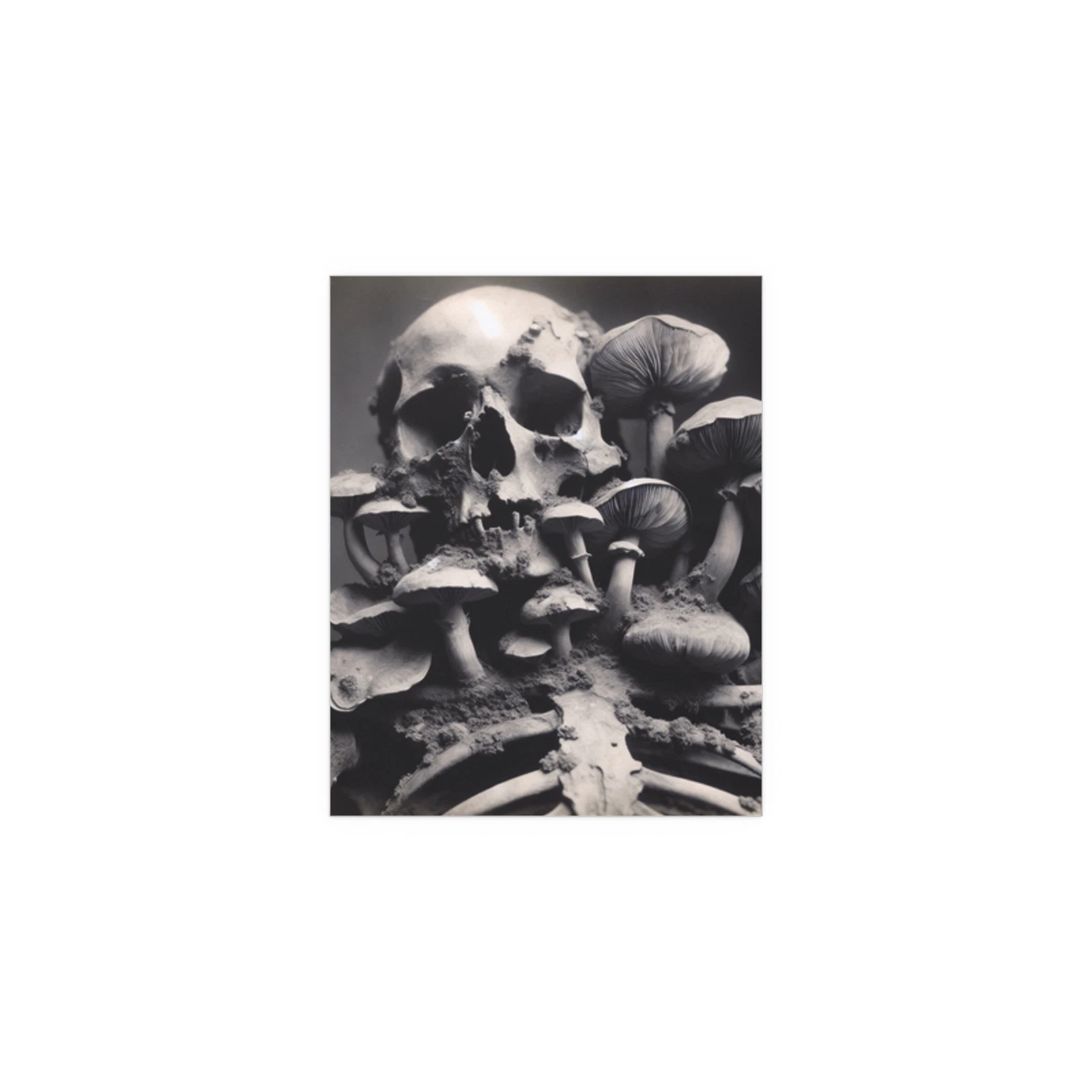 Indoor and Outdoor Coated Silk Posters