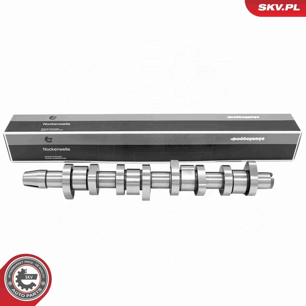 Esen SKV Nockenwelle 80SKV008 FüR VW Passat B5 Variant 3B6 3B3 TDI Audi A4 B7 B6-image