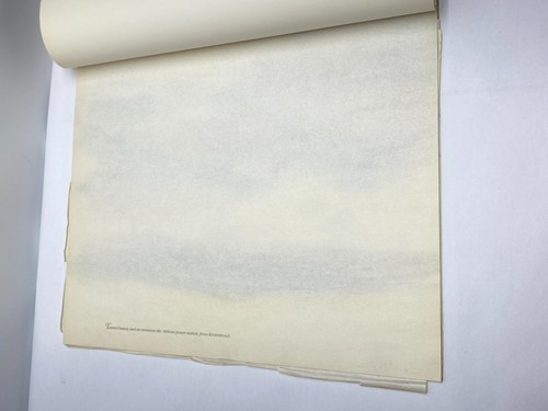 Vivian Gottlieb Watercolor Folio "Airs, Waters, Places" Cape Town South Africa - Picture 7 of 19