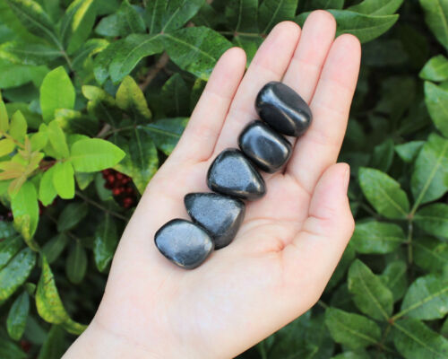 5 Shungite Specimen Tumbled Stones: Medium (Crystal Healing Gemstone Reiki)  - Picture 1 of 7