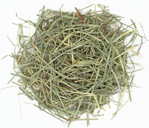 Veterinarian Recommended 25 lb Orchard Grass Hay for Rabbits, Guinea Pigs & More - Picture 6 of 11
