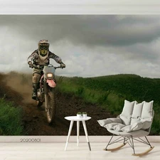 3D Motorcyclist Meadow Wallpaper Wall Mural Removable Self-adhesive Sticker185