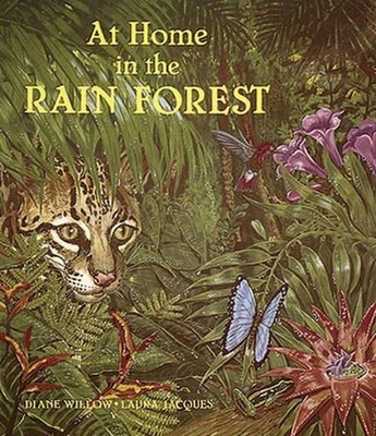 At Home in the Rain Forest by Diane Willow (English) Paperback Book