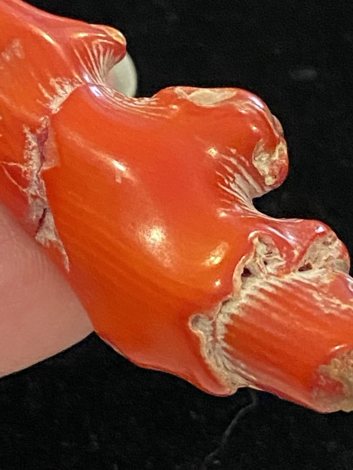 Qing натуральный красный коралл ученые щетка отдых частная коллекция - Изображение 4 из 4