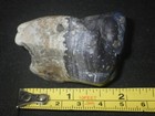 Picture 4 of 4