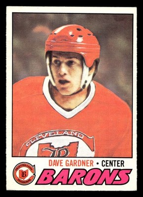 1977-78 O-Pee-Chee #258 Dave Gardner Excellent+ Barons ID:477336