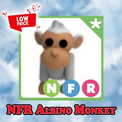 NFR Albino Monkey - Adopt right now