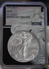 2022 US Silver Eagle $1 NGC MS70 Black Core Eagle Slab