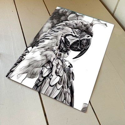 Schwarz-weißer Papagei Metall Wandschild 28 cm x 41 cm