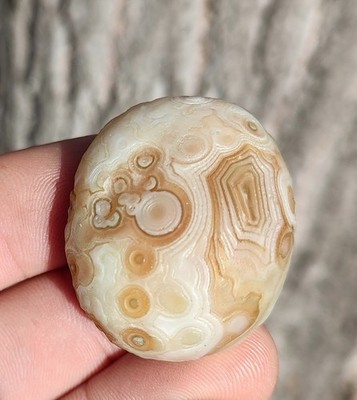  GOBI EYE AGATE, 39G DRAMATIC MULTI-EYE GOBI DESERT AGATE 
