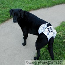 BonEful RTS NEW DOG gy Diaper Female Heat Incontinence Girl STAY ON XXL Lg Breed