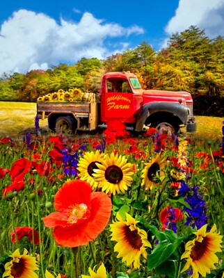 35'' Fabric Panel - David Textiles Digital Wildflower Farm Red Pickup Truck