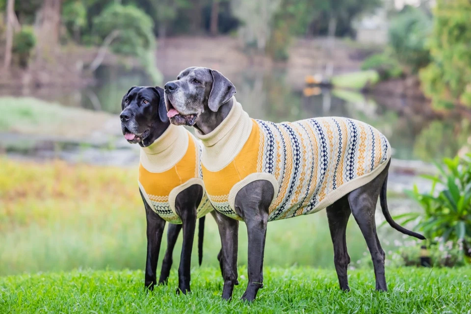 Mila+me 'OSLO' Designer Dog Jumper For GREAT DANE - Image 3 of 4