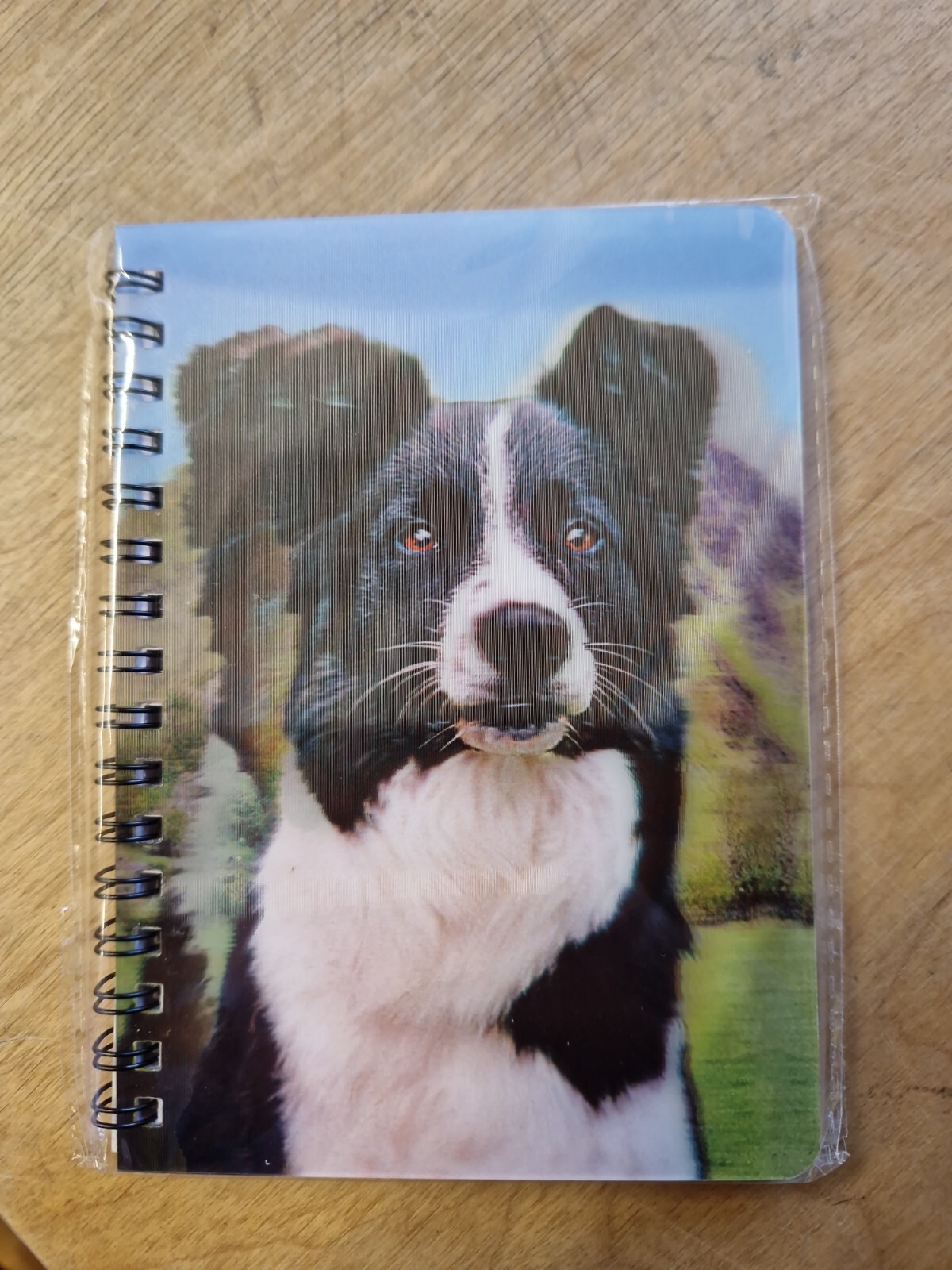 Border Collie notebook Border Collies Notebooks Dog Dogs sheepdog sheepdogs