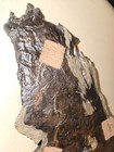 Rare Burl Walnut Base Pen Rest Holder Vintage Fresh From Estate Nice — photo 9