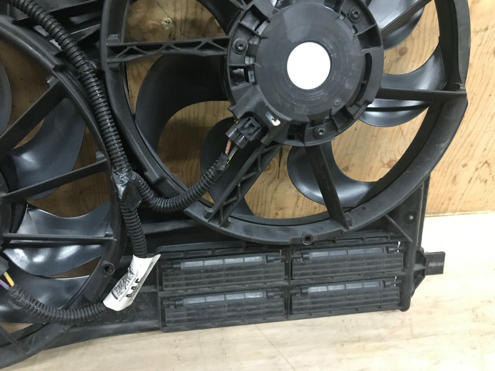Picture 8 of 12