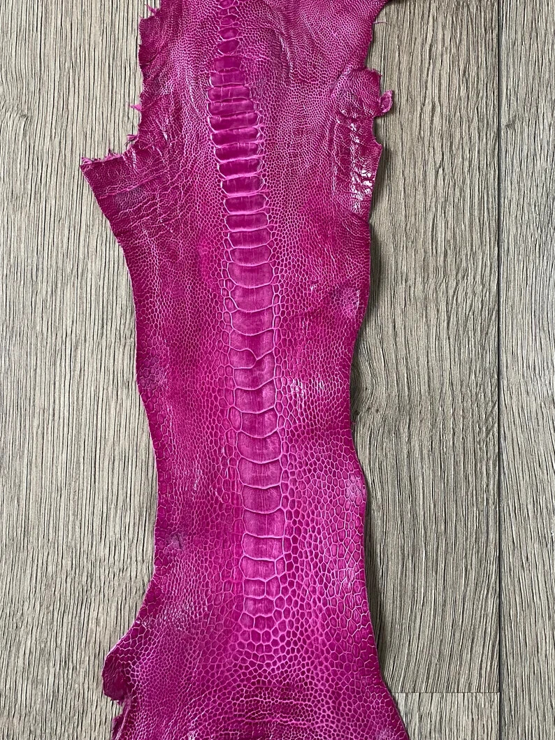 Picture 6 of 6