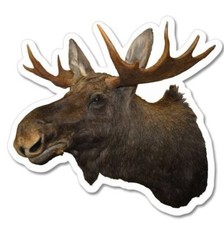 Moose Head Car Vinyl Sticker - SELECT SIZE