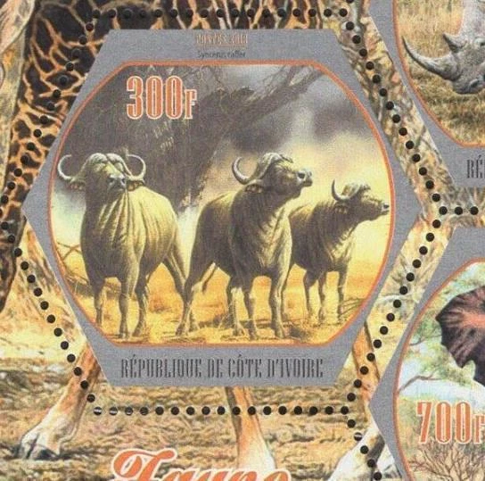 Fauna africana rinoceronte pantera jirafa elefante Sov. Hoja de 4 estampillas MNH Foto 4 de 4
