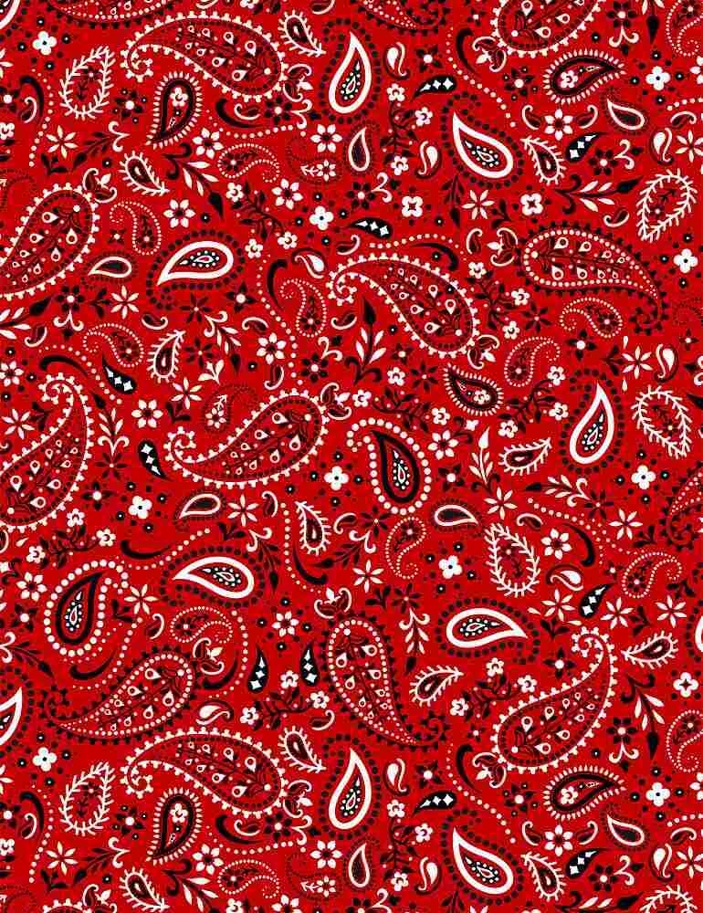 Red Bandana Pattern