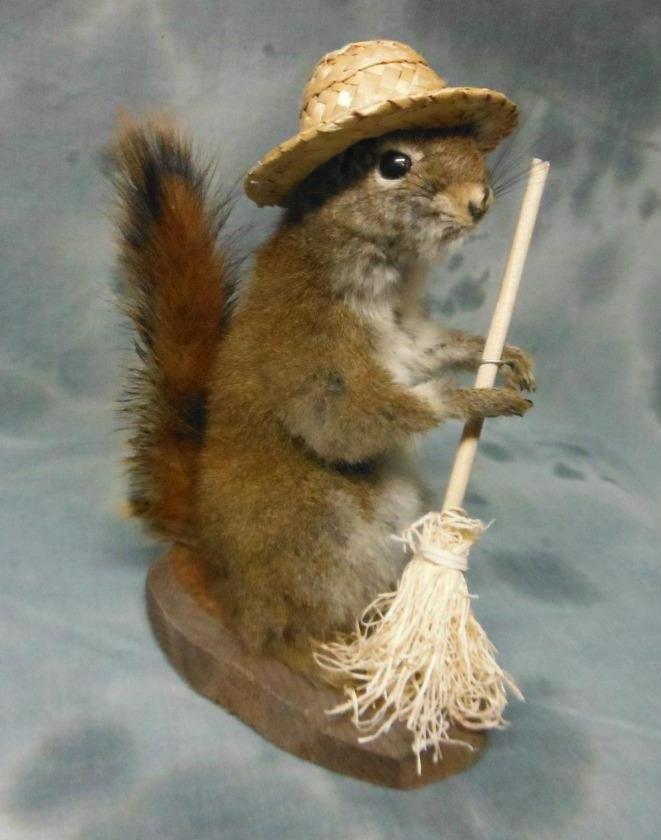 farmer ,cowboy SQUIRREL bank robber !!! BOBCAT COYOTE,FOX ,...NO