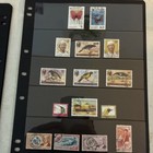 Picture 2 of 11