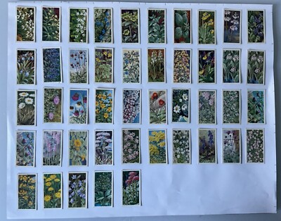 WILD FLOWERS SERIES 3 - 'SELECT A CARD' - BROOKE BOND TEA CARDS